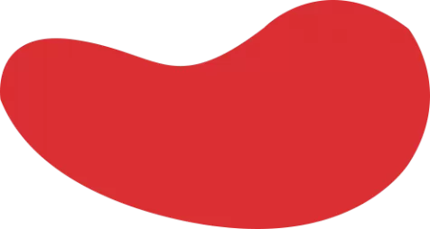 MK体育 - 体育赛事投注 - MK平台